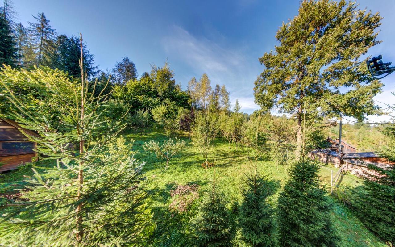 Karpatska Villa Mykuljtsjin Eksteriør bilde