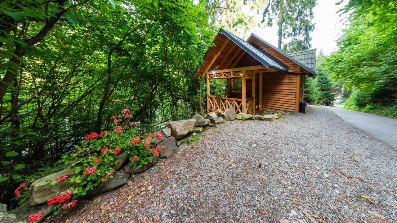 Karpatska Villa Mykuljtsjin Eksteriør bilde